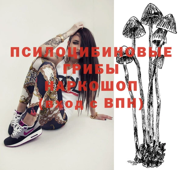 PSILOCYBIN Верхнеуральск